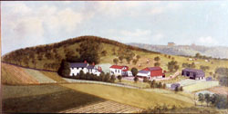Oil Painting of Haudenshield vineyard, Green Tree, PA, 1909